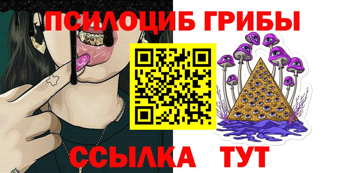Псилоцибиновые грибы мицелий Елабуга
